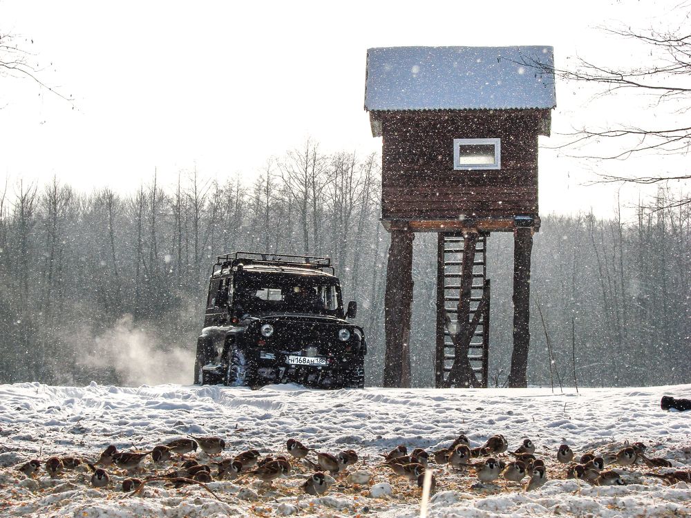 Photograph by Владимир Желтов