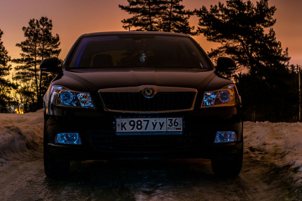 Photograph by Владимир Желтов