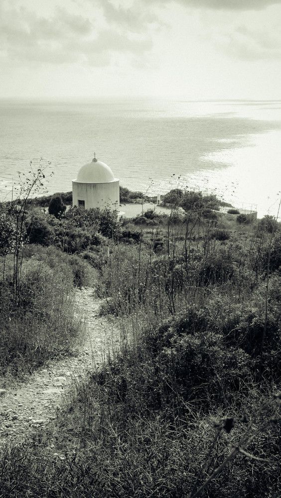 Фотография автора Ольга Забрянская