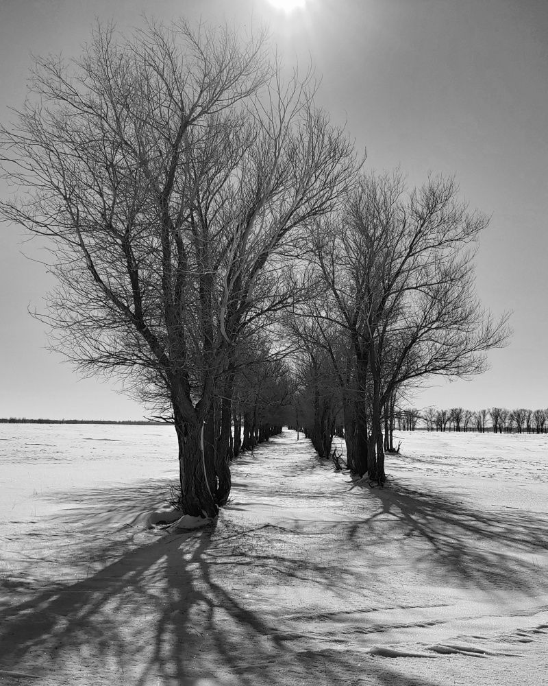 Photograph by Любовь Толстова