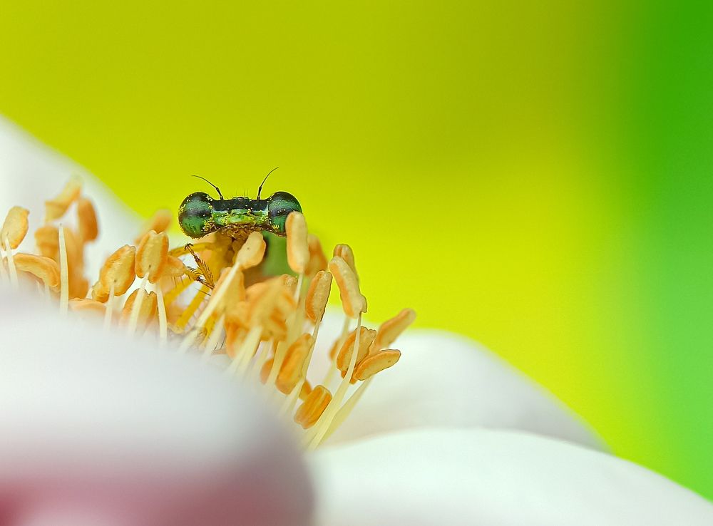 Photograph by Akirul Fahad