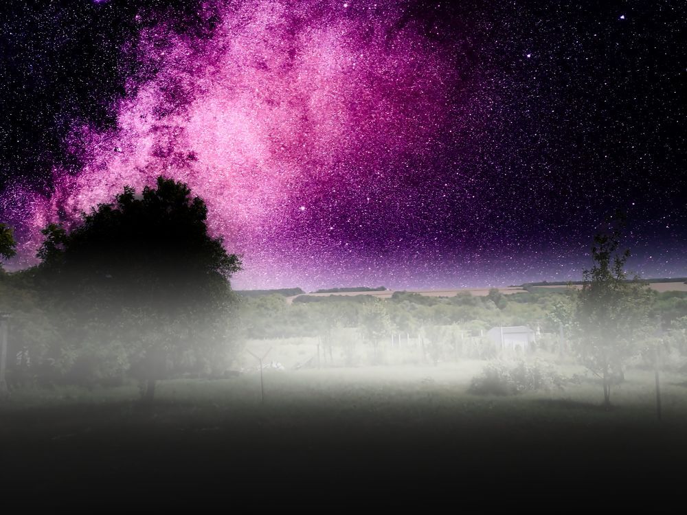 Photograph by Sandor Zoltan Gal