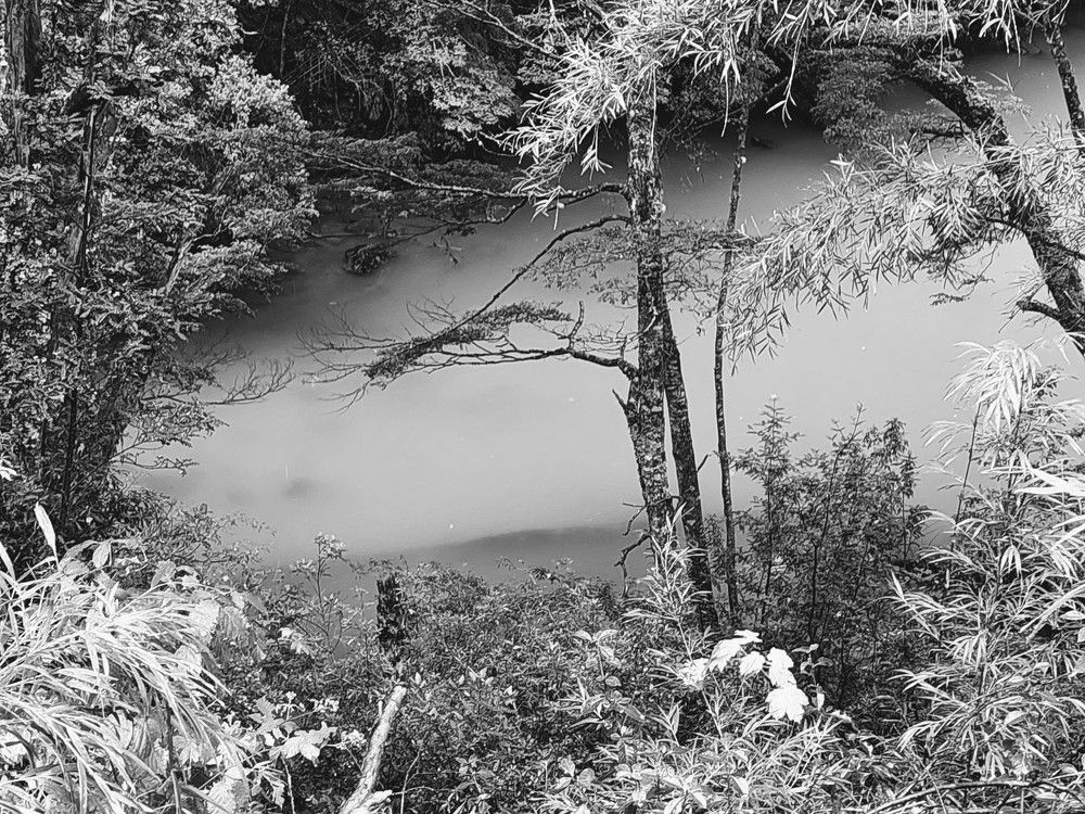 Фотография автора Cristina Wnetrzak