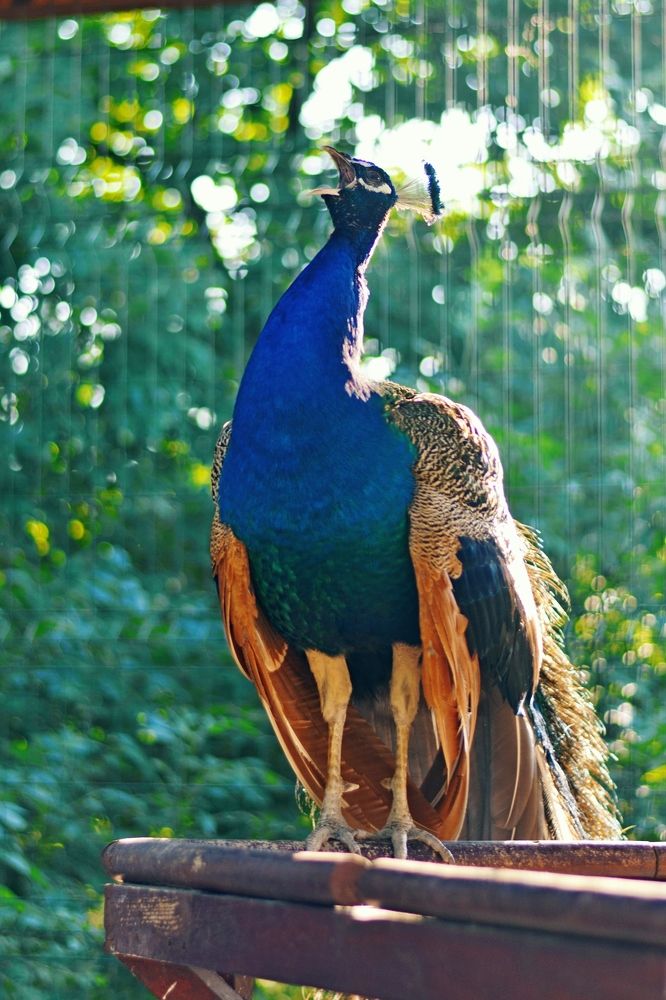 Photograph by Ольга Мальцева