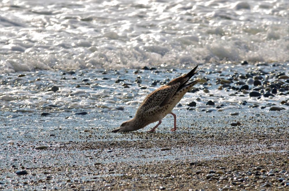 Photograph by Наталья Иванова