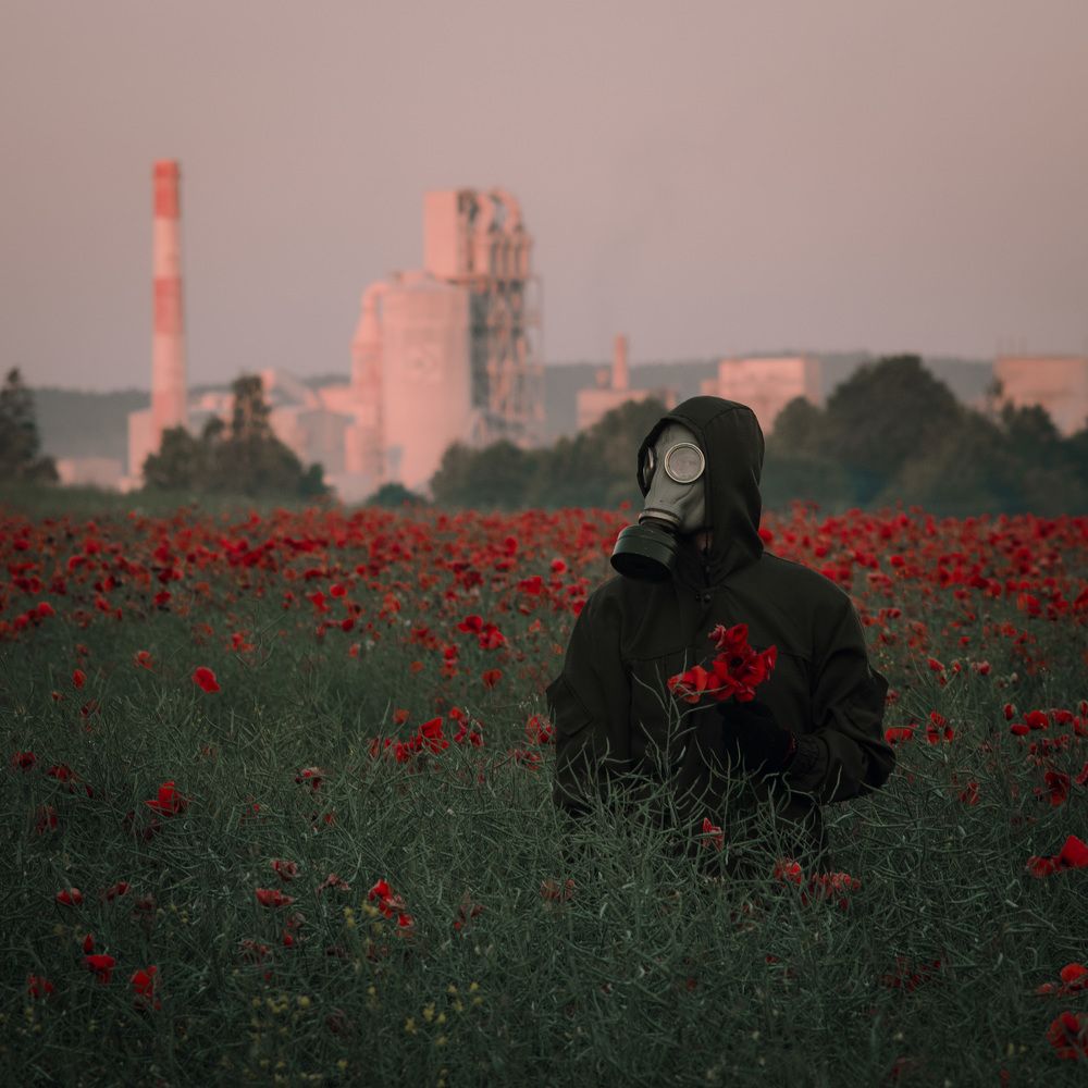 Photograph by Юлия Малащенко