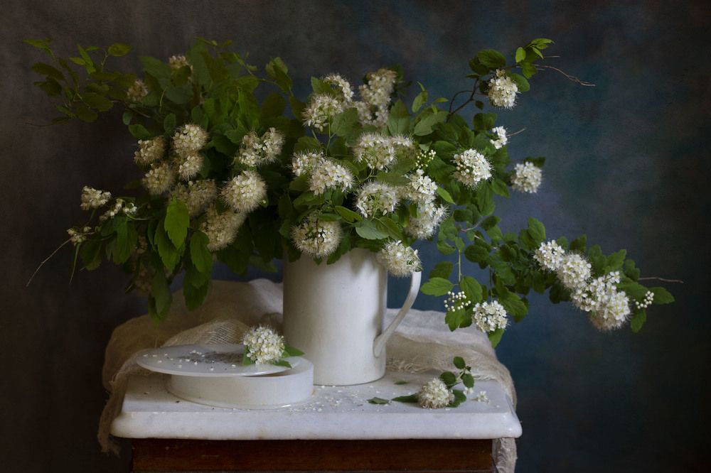 Photograph by Марина Кулакова