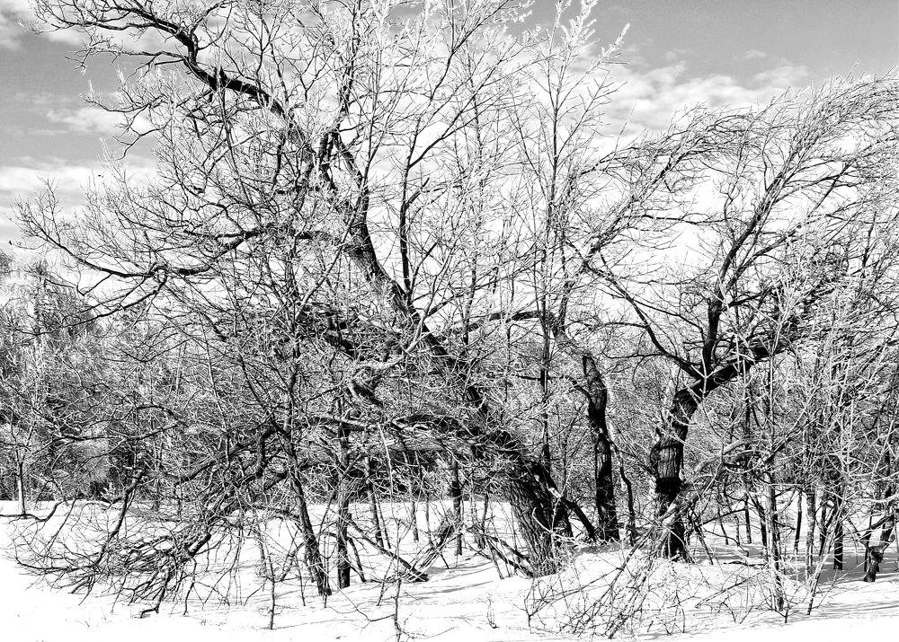 Photograph by Алла