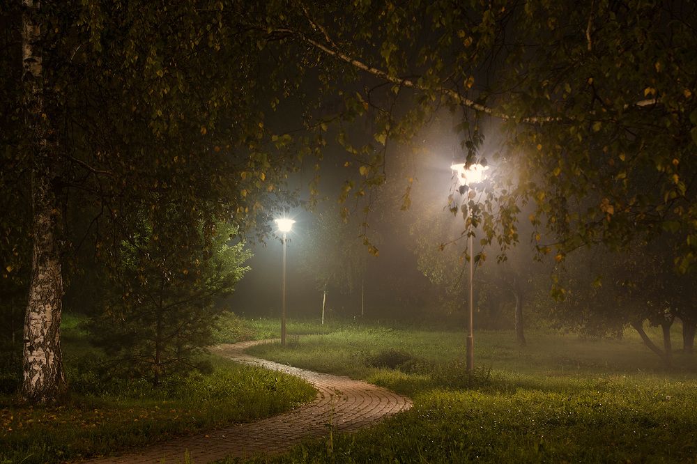 Фотография автора Олег Голубев