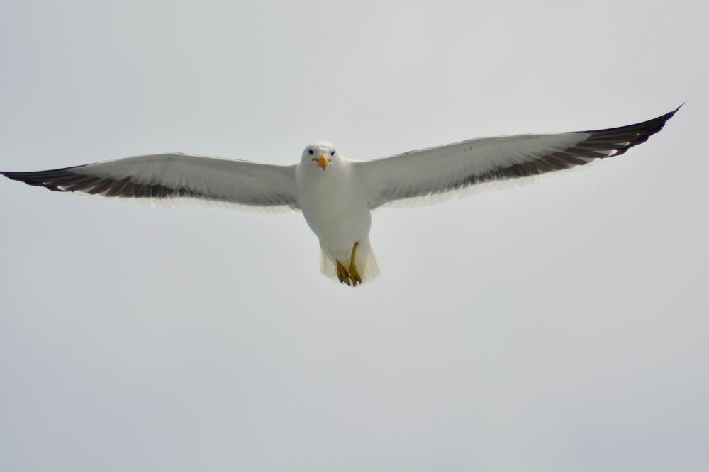 Photograph by Анатолий Орлов