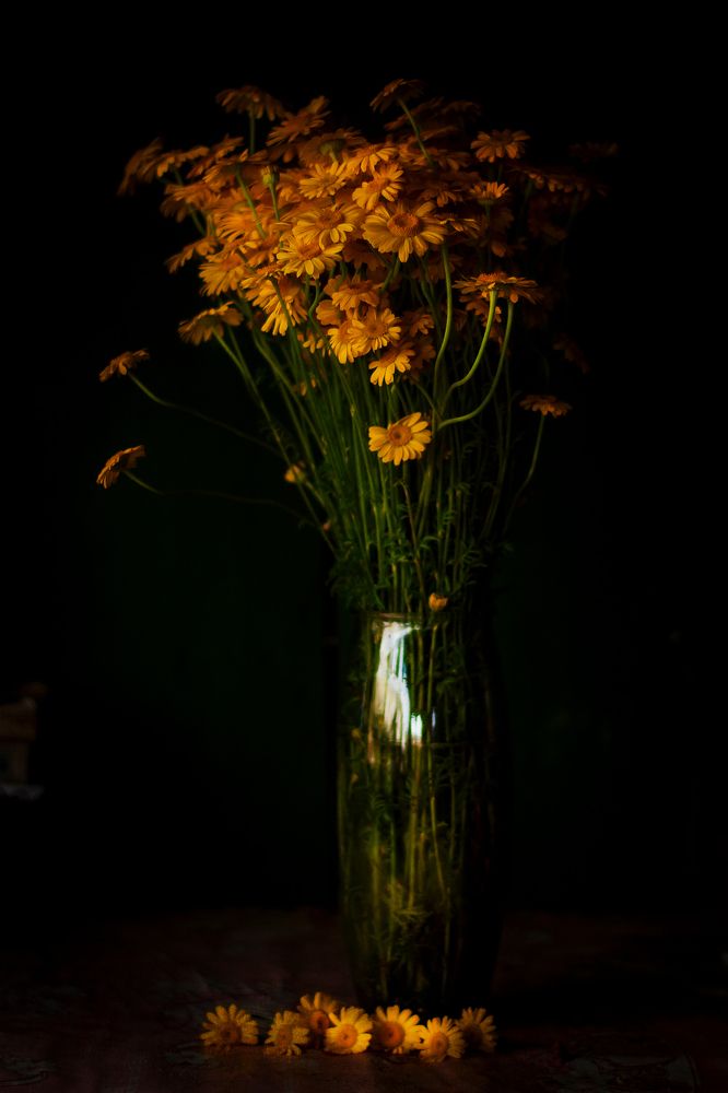 Photograph by Елена Баженова