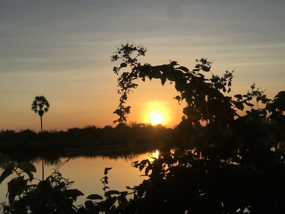 Things you see when you slow down!