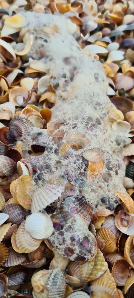 Photograph by Ирина Козко