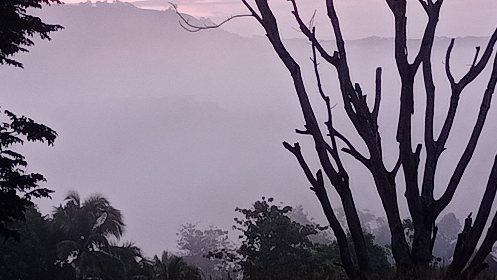 Photo #7762475