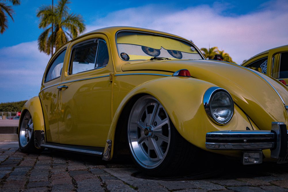 Photograph by ALEKSANDR SHAIKHTDENOV