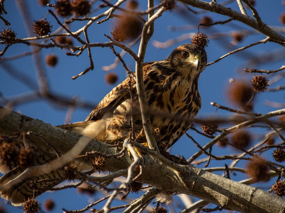 Photograph by Jorge Bagnuoli