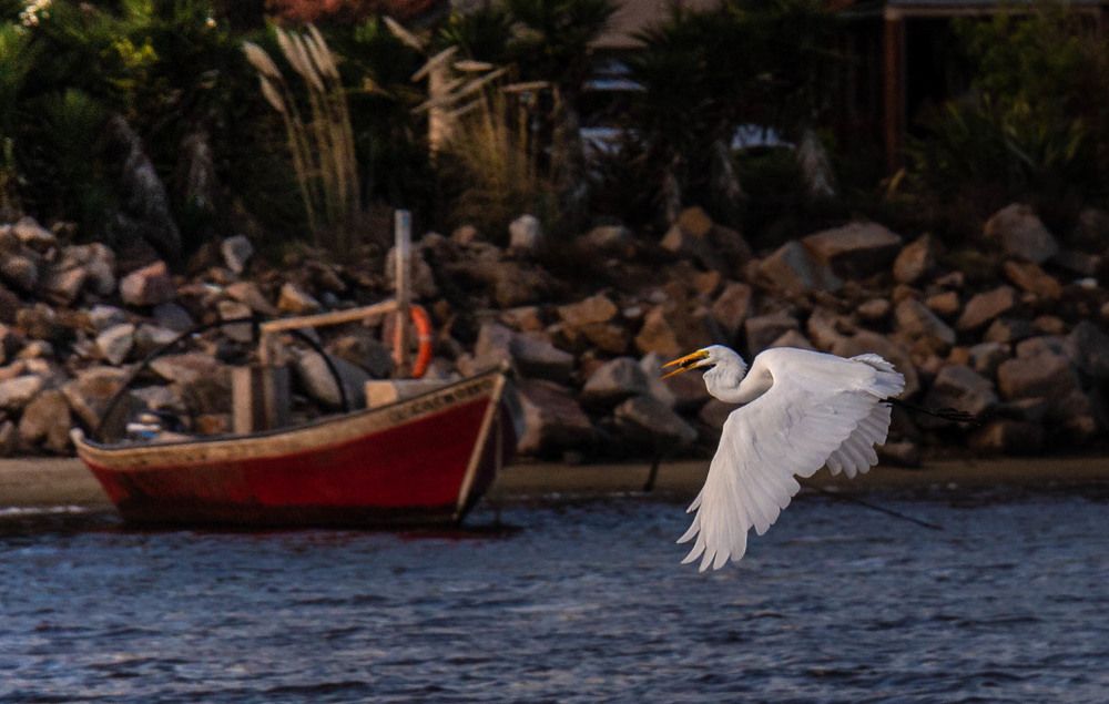 Photograph by Jorge Bagnuoli