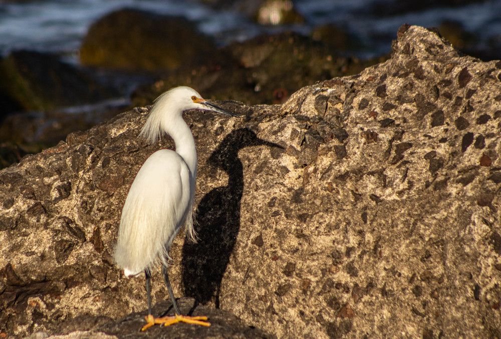 Photograph by Jorge Bagnuoli