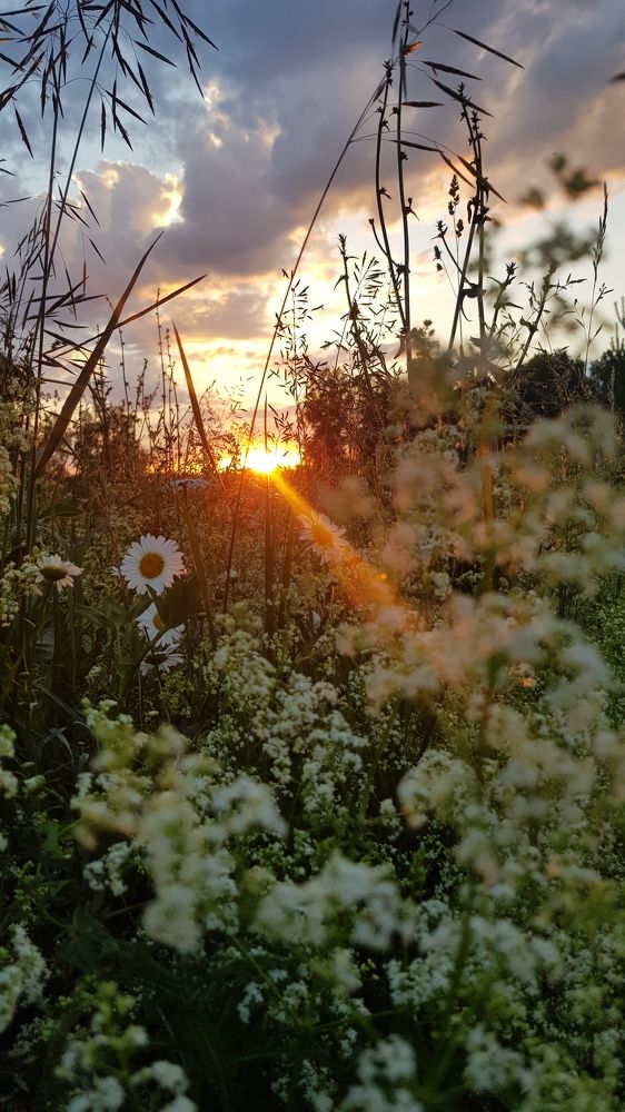 Photograph by Дарья Агапова