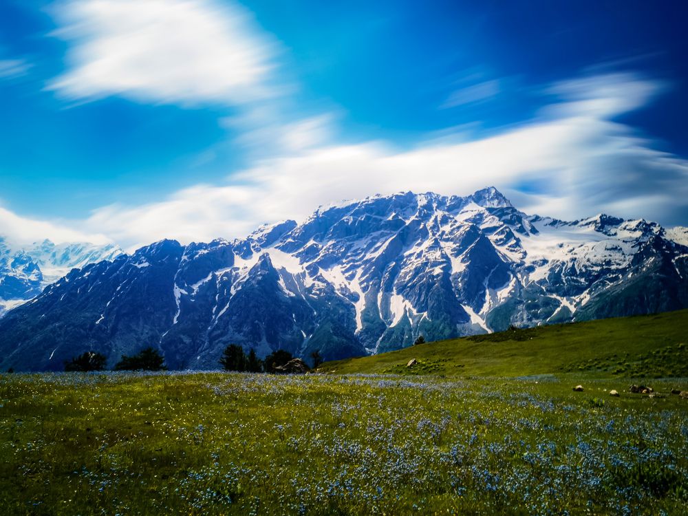 Call from the nature