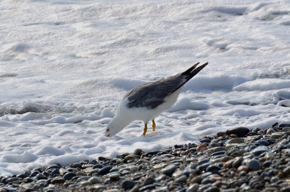 Photograph by Наталья Иванова