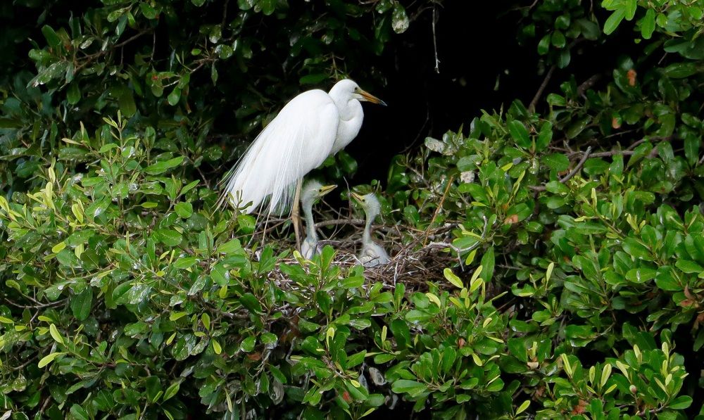 Photograph by PRATYUSH HALDER
