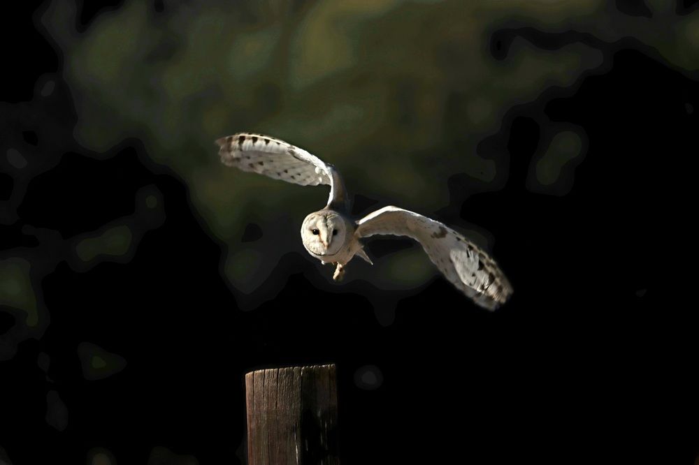 Photograph by PRATYUSH HALDER