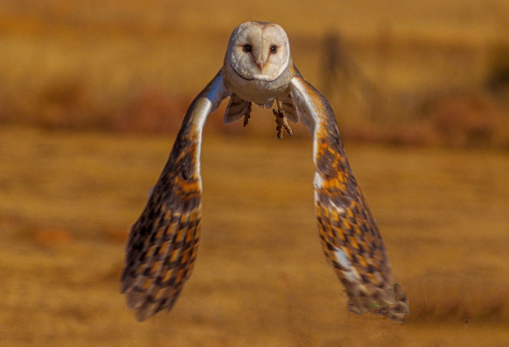 Photograph by PRATYUSH HALDER