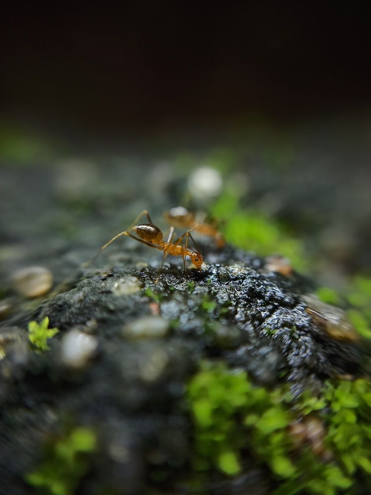 Photograph by ADARSH AJ