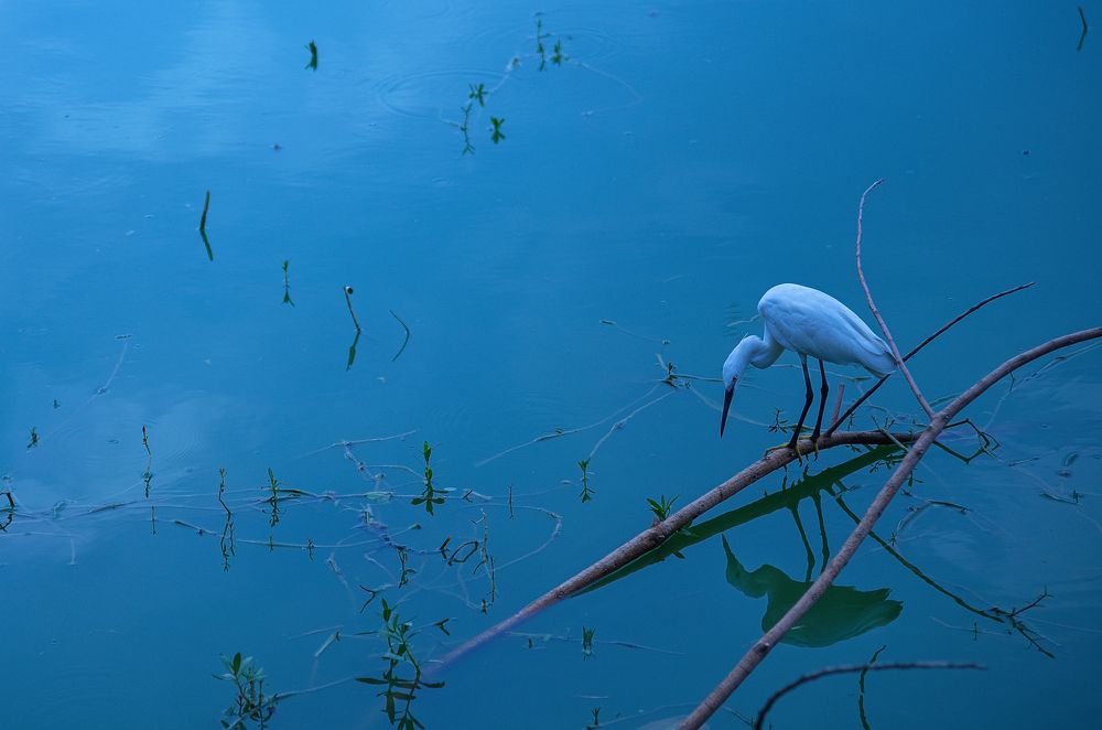 Фотография автора Arka De