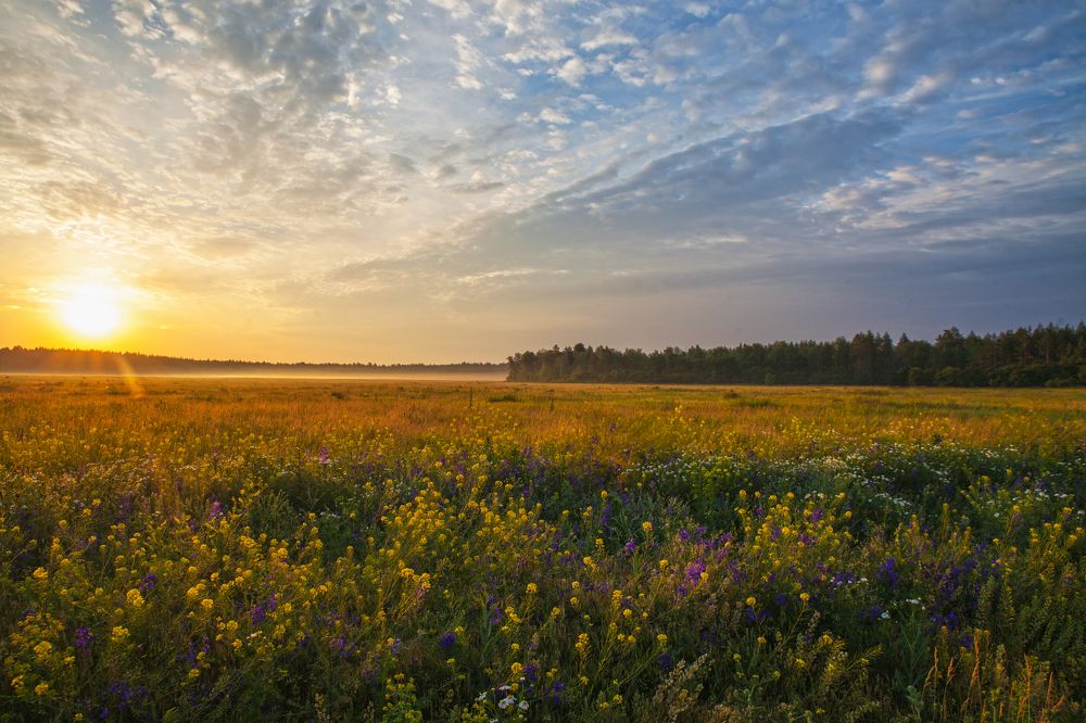 Photograph by Валерий