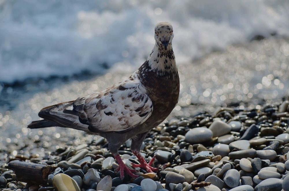 Photograph by Наталья Иванова