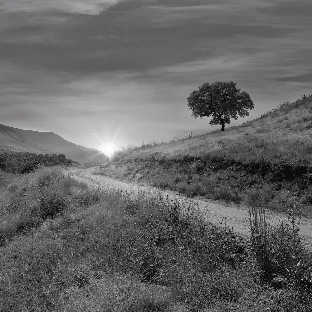 Фотография автора reyhane  khavaninzadeh