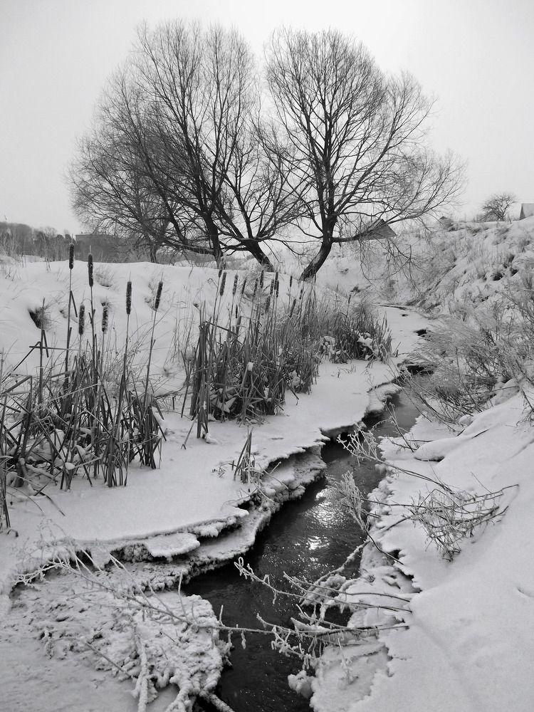 Photograph by Дмитрий Крылов