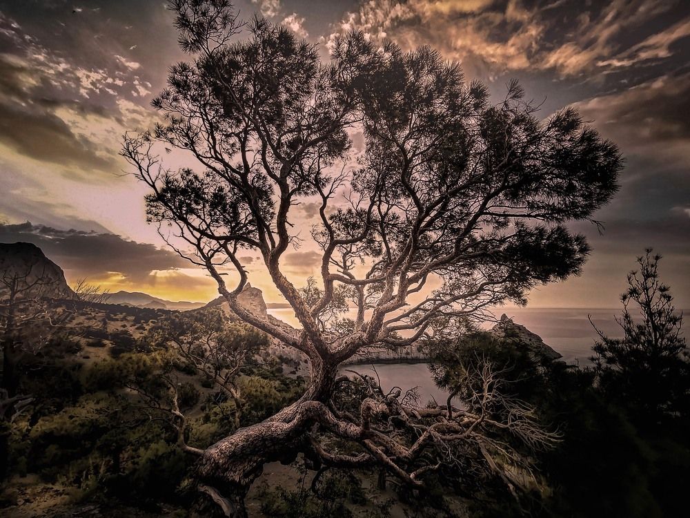 Photograph by Разумов Александр