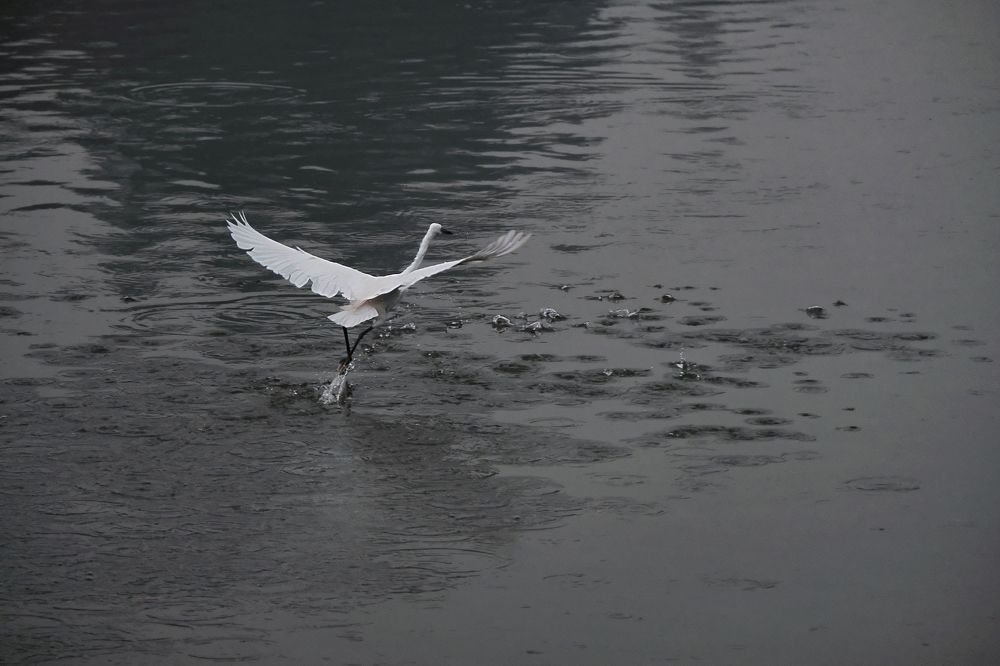 Photograph by Astried Marini