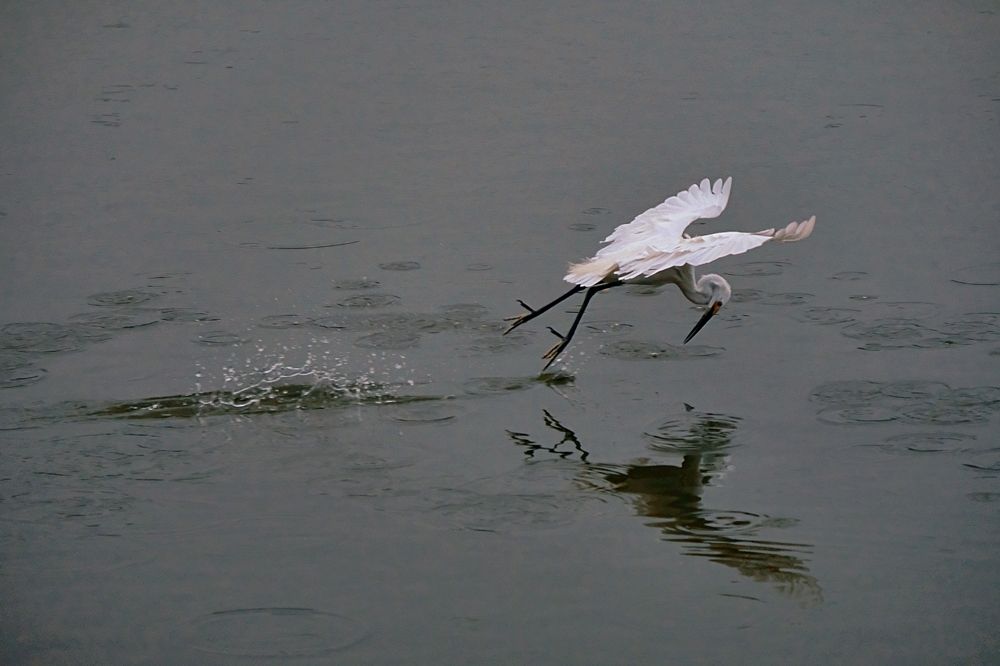 Photograph by Astried Marini