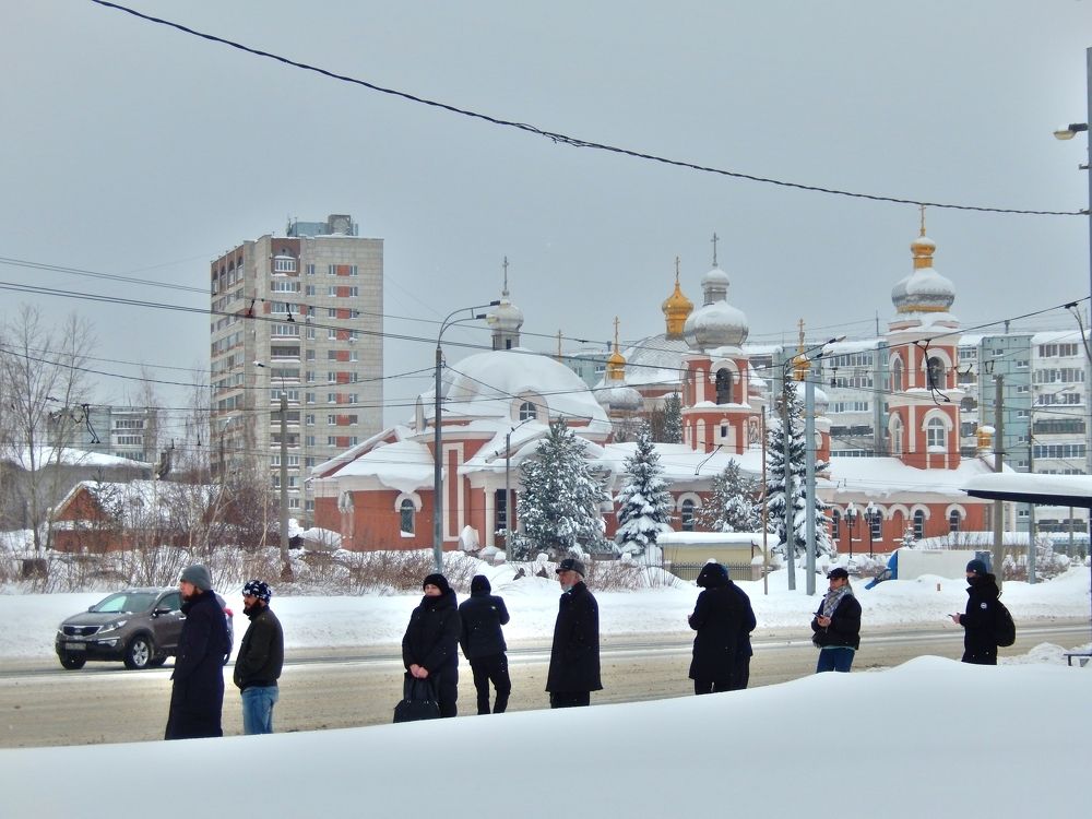 Фотография автора Клавдия Васильева