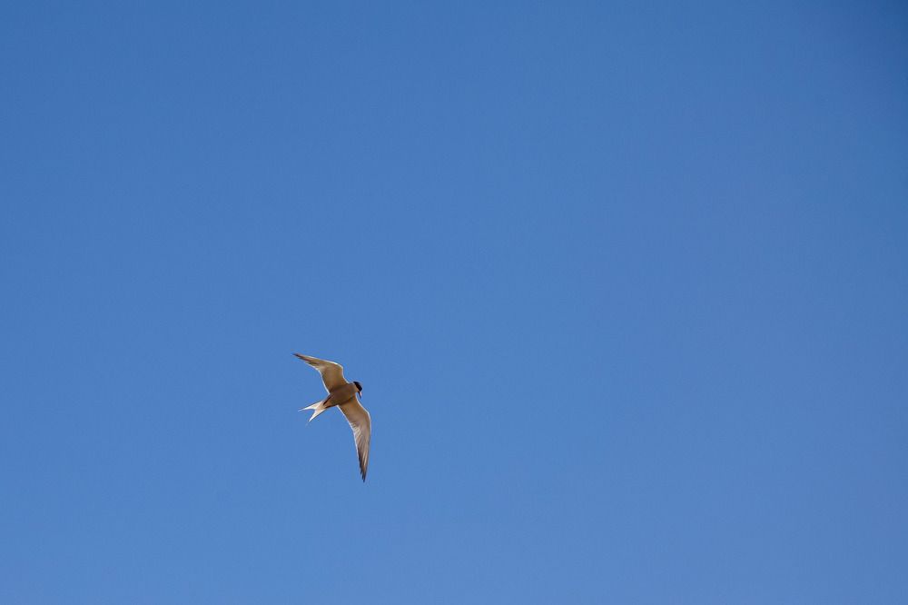 Photograph by Галина Сычева