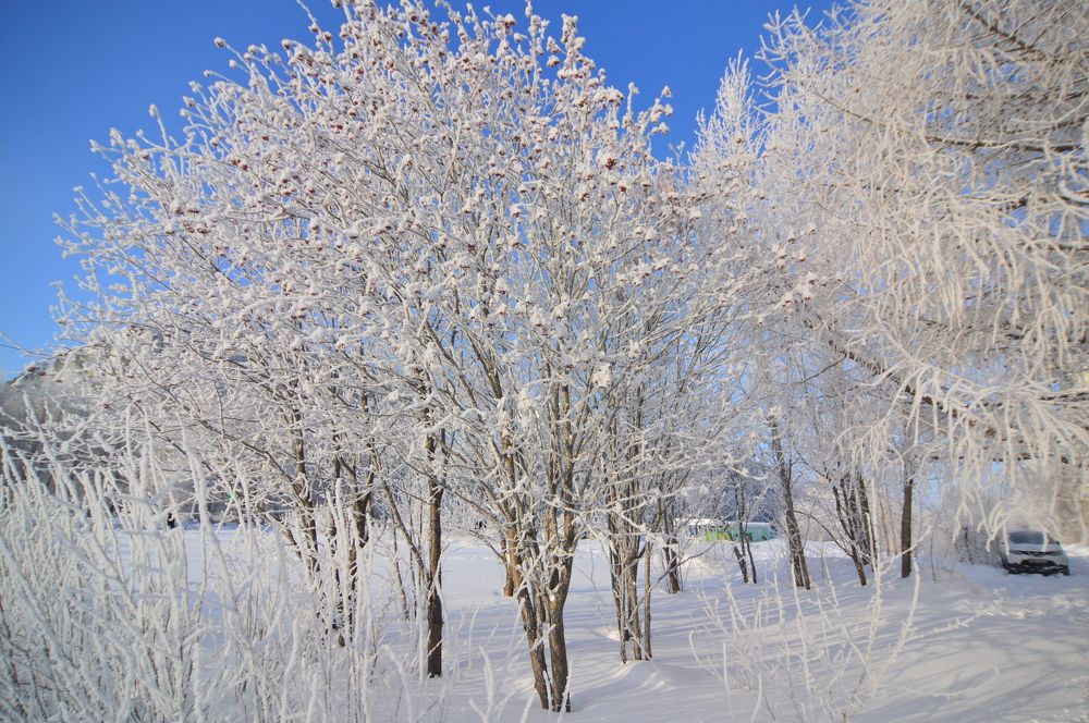 Фотография автора Клавдия Васильева