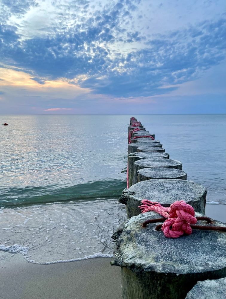 Photograph by Елена Докучаева