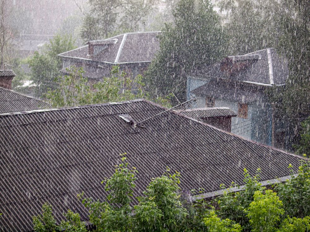 Photograph by Владимир Перепечаев