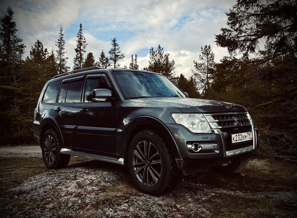 Фотография автора Юлия Шумейко