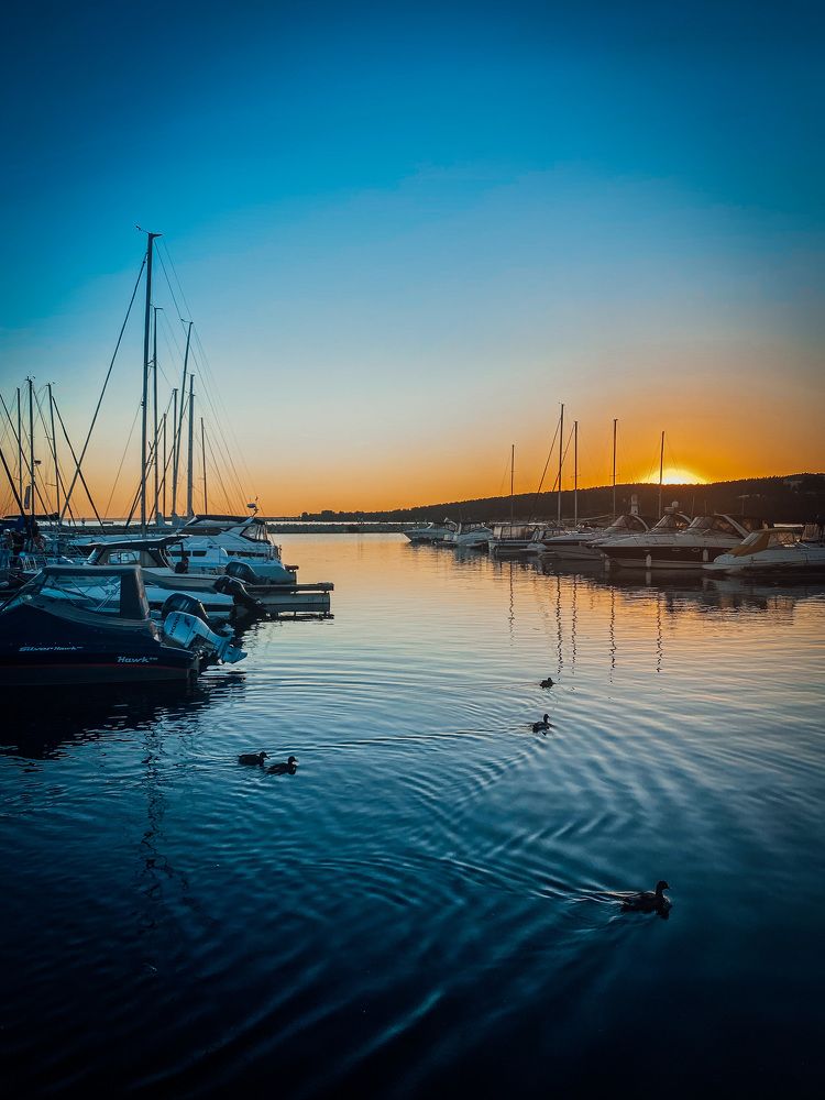 Photograph by Анжела Шибаева