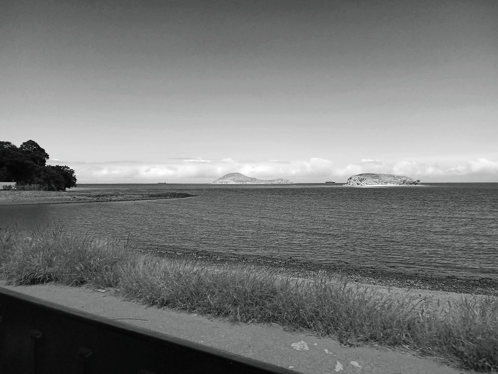 Photo #7763114