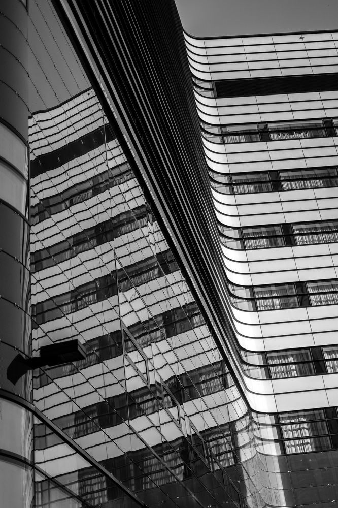 Photograph by Patrycja