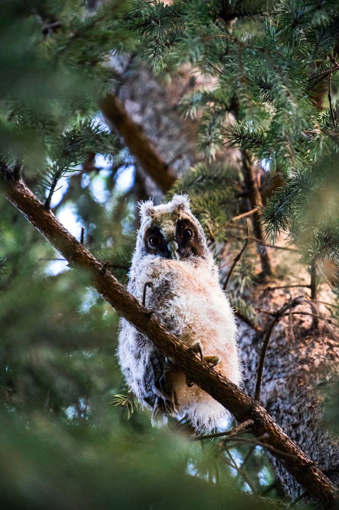 Photograph by Dina Abubakirova