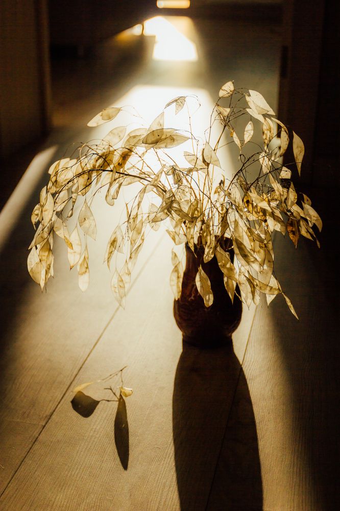 Photograph by Мария Фомичева