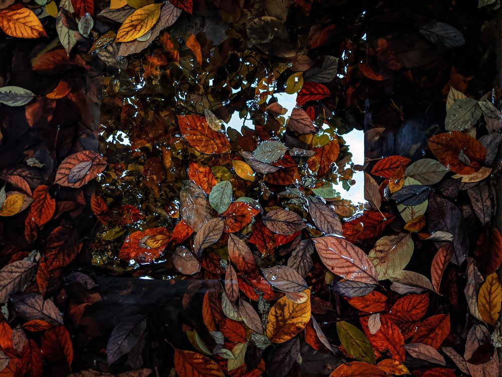 Photograph by Justo Pacyfik