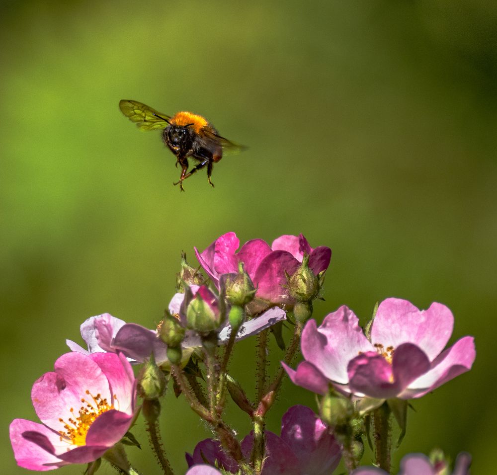 Photograph by Курлянцев Алексей